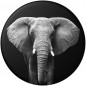 PopSockets PopGrip Gen.2, Loxodonta Africana, afrikai lajhár