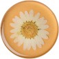 PopSockets PupGrip Gen.2 Presed Flower White Daisy