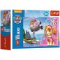 Minipuzzle miniMAXI 20 darab Paw Patrol / Paw Patrol 4 típus