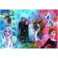 Puzzle Ice Kingdom II / Frozen II 160 darab