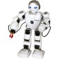 RC robot FOBOS