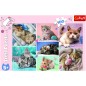 Puzzle Kittens 100 db