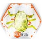 HEXBUG Scarab metál - zöld