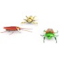 HEXBUG Real Bugs – 3 db.