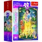 Trefl Minipuzzle Gyönyörű hercegnők/Disney hercegnő 54 darab 4 fajta