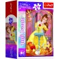 Trefl Minipuzzle Gyönyörű hercegnők/Disney hercegnő 54 darab 4 fajta