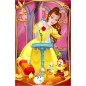 Trefl Minipuzzle Gyönyörű hercegnők/Disney hercegnő 54 darab 4 fajta