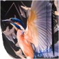 Szabadidős hátizsák BAAGL eARTh - Kingfisher by Caer8th