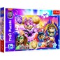 Rejtvény Ismerje meg a hatalmas kölyköket Paw Patrol/Tlapková járőr 100 darab
