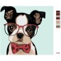 Zuty Festőkészletek számok szerint - Szemüveges bulldog