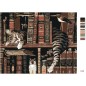 Zuty Festőkészletek számok szerint - Macska a könyvtárban