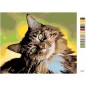 Zuty Festőkészletek számok szerint - Cirmos macska