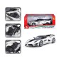 Bburago - RACE+PLAY, Ferrari FXX-K EVO, fehér-fekete, 1:18