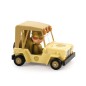 Auto Crazy Motors - Lion szafari