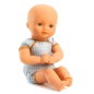 Baby Pomea - baba Rose