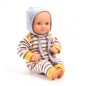 Baby Pomea - baba Canary