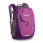 Boll Falcon 20 l Boysenberry gyerek hátizsák