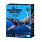Mosasaurus ásatás – összerakható csontvázzal