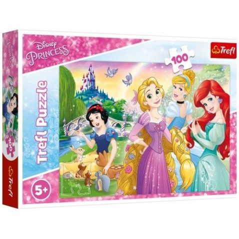 Disney Princess Puzzle - Álom egy 100 darabos hercegnőről