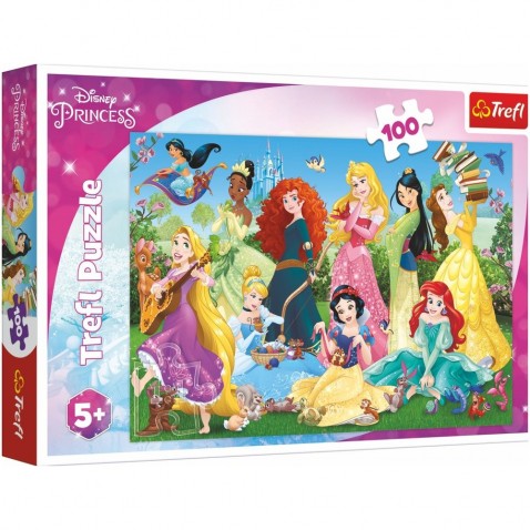 Puzzle Charming Princess / Disney 100 darab