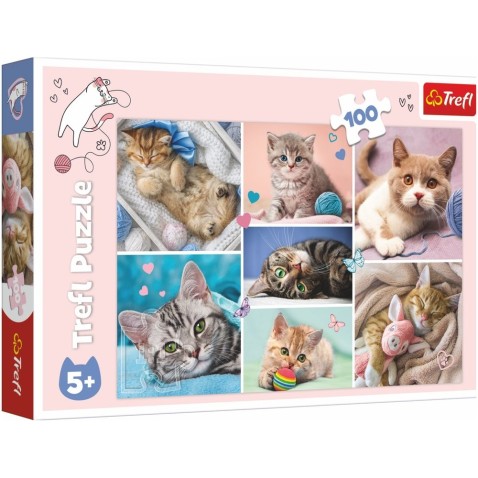 Puzzle Kittens 100 db