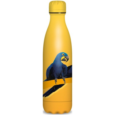Ars Una Thermal Bottle Parrot 500 ml