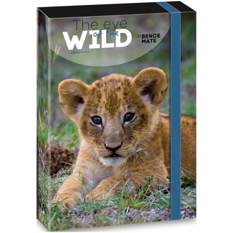 Lion A5 notebook doboz