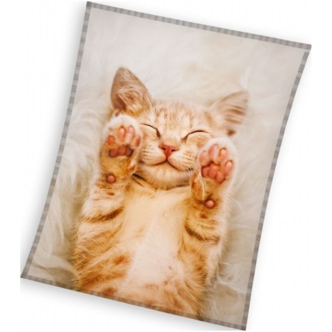 Gyerek takaró Rusty Kitten