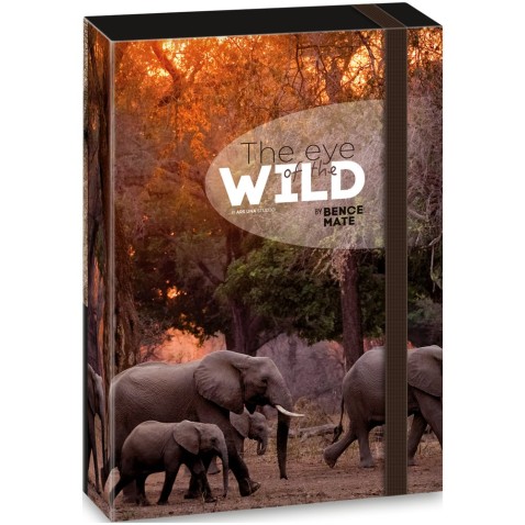 Ars Una A5-ös füzetbox The Eyes of the Wild