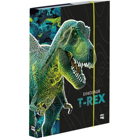 Premium dinoszaurusz A5-ös füzettartó box