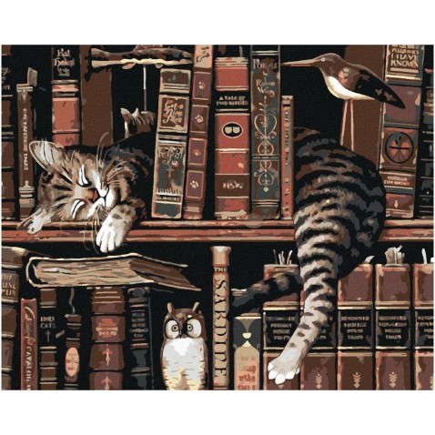 Zuty Festőkészletek számok szerint - Macska a könyvtárban