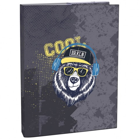 Füzetbox A5 Cool Bear