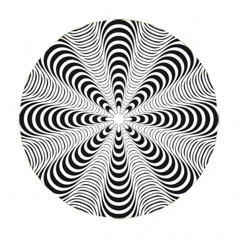 Nikidom Roller Wheel Stickers Dizzy matrica szett