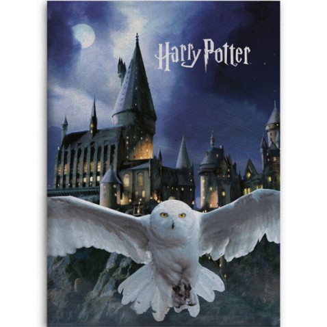 Harry Potter Hedvig flísz takaró