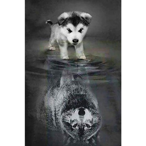 Kutya és farkas a tükörképben - gyémántfestés kereten 40x50 cm