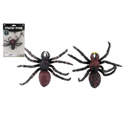 Pók mászik az üvegen