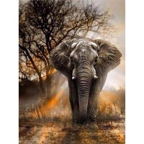 Elefánt a szavannán - gyémántfestés kereten 40x50 cm
