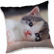 Párna Kitten