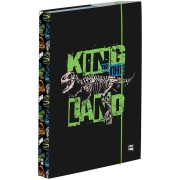 Premium Dinoszaurusz 23 A4-es füzettartó box
