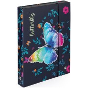 Jumbo Butterfly 2 A4-es füzettartó box