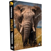 Jumbo Elefánt A4-es füzettartó box
