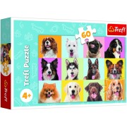 Trefl Puzzle Aranyos kutyák 60 db