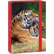 Ars Una Serenity-Tiger A4-es füzetbox