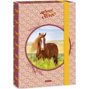 Ars Una A4-es füzetbox My Sweet Horse