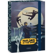 Ninjas in the Dark A4 füzettartó box