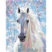 Zuty Festőkészletek számok szerint -  Fehér ló