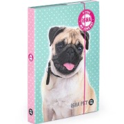 Isha - My love Pet A4-es füzettartó box