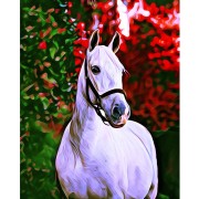 Fehér ló -  gyémántfestés kereten 40x50 cm