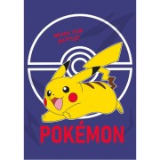 Pokémon flísz takaró