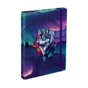BAAGL Aurora A4-es füzetbox